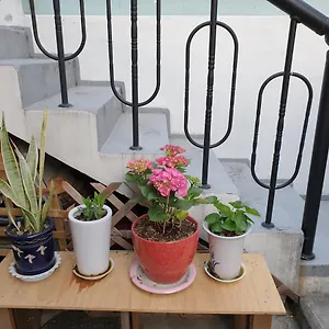 https://guesthouse203.hotels-seoul.net